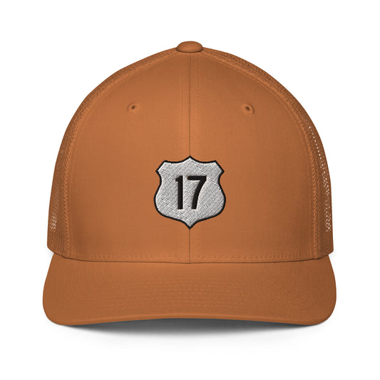 Limited Edition Hwy 17 Hat